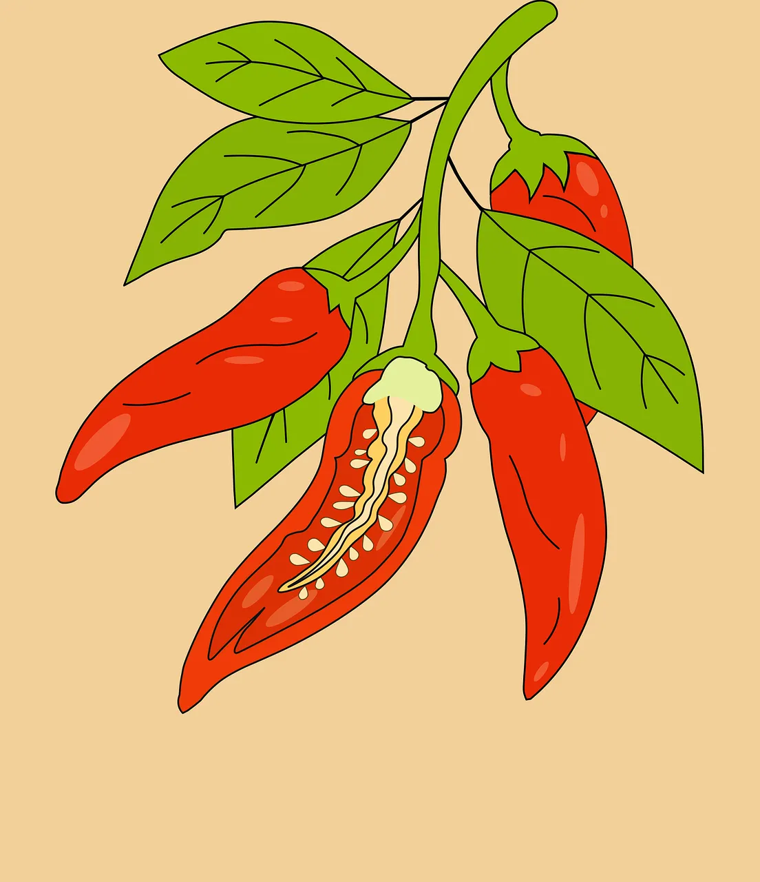 Vibrant Chili Peppers: Hot & Spicy Illustration