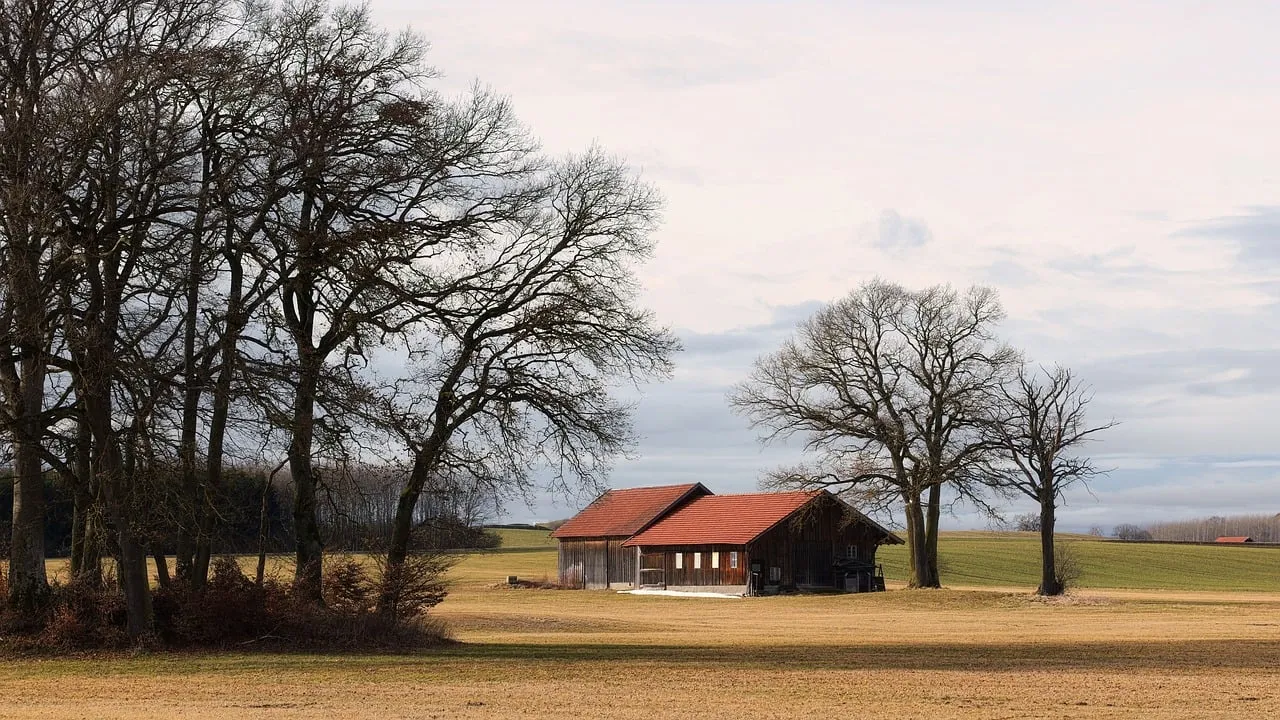Serene Bavarian Winter Barn Amidst Bare Trees