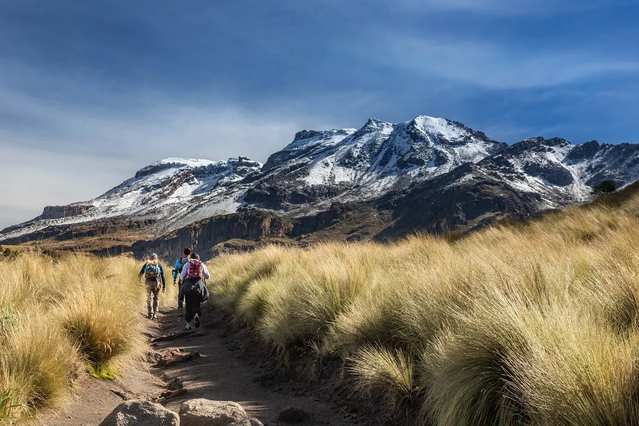 Breathtaking Mountain Trek: Snowy Peaks and Golden Meadows