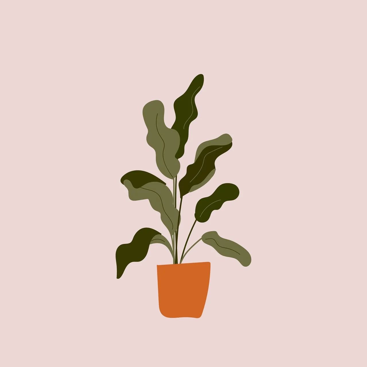 Chic Boho Houseplant on Pink: Minimalist Home Decor Illustration