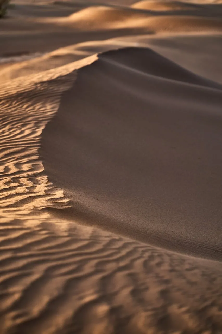Golden Hour Desert Serenity: Undulating Sand Dunes at Sunset