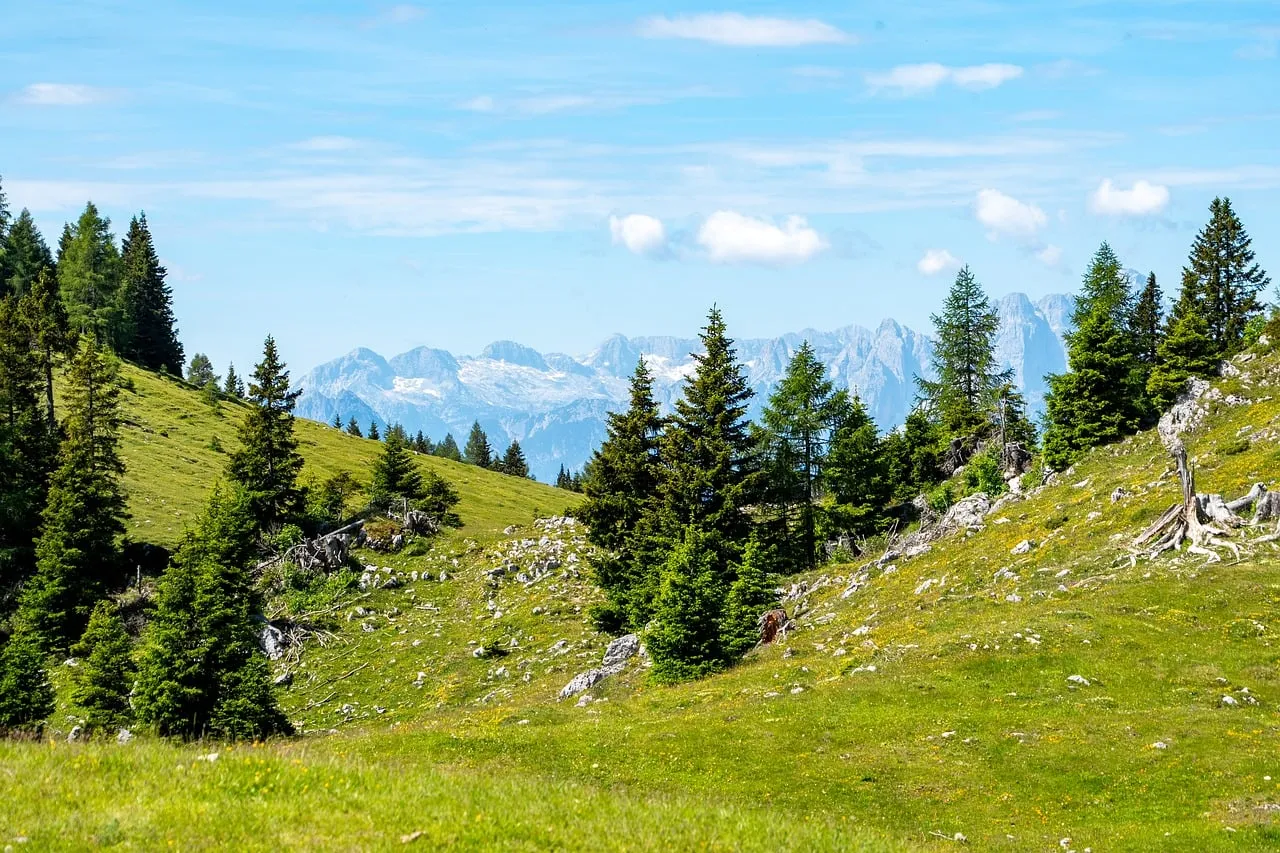 Breathtaking Alpine Panorama: Lush Meadows & Majestic Peaks