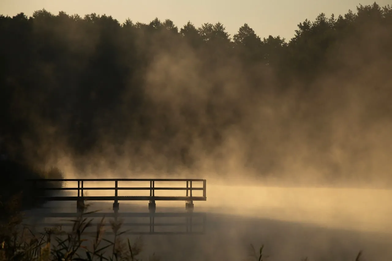 Enchanting Misty Morning: Golden Hues Over a Serene Lake
