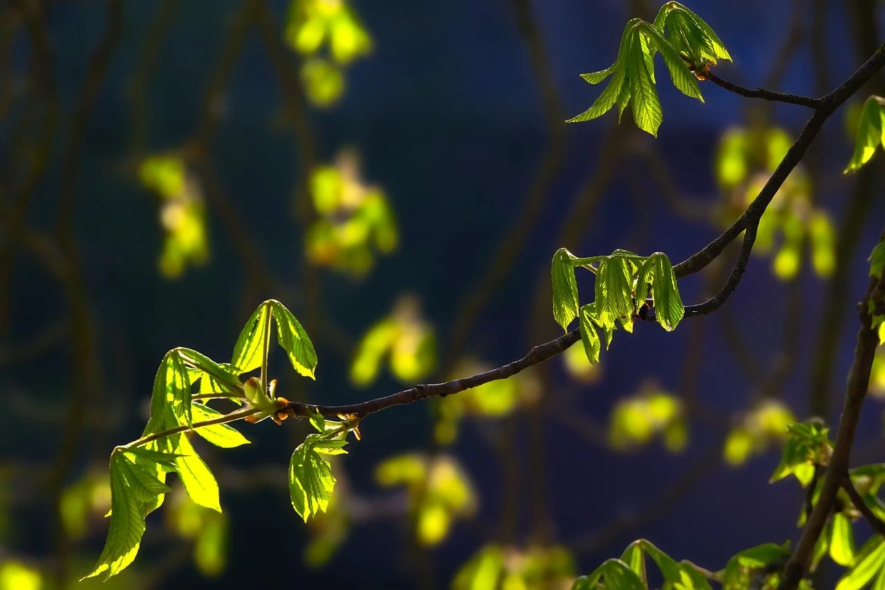 Vibrant Green Leaves Glowing in Atmospheric Night
