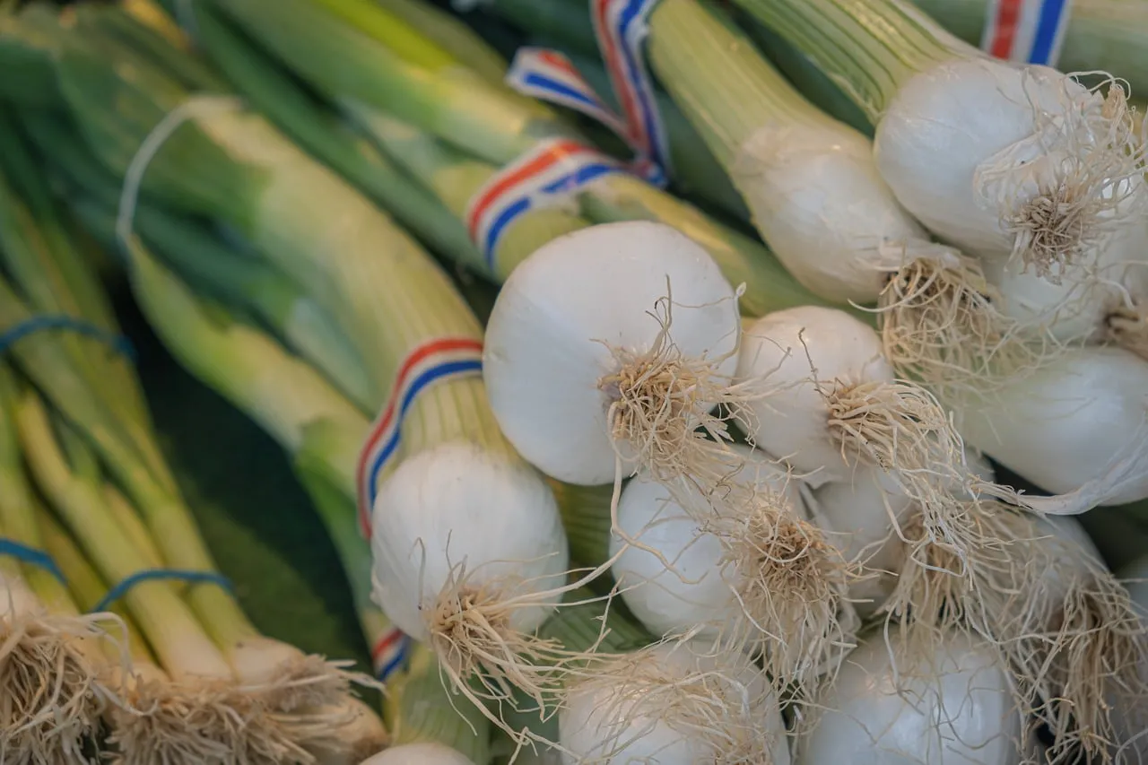 Vibrant Spring Onions: Fresh Harvest for Healthy Living