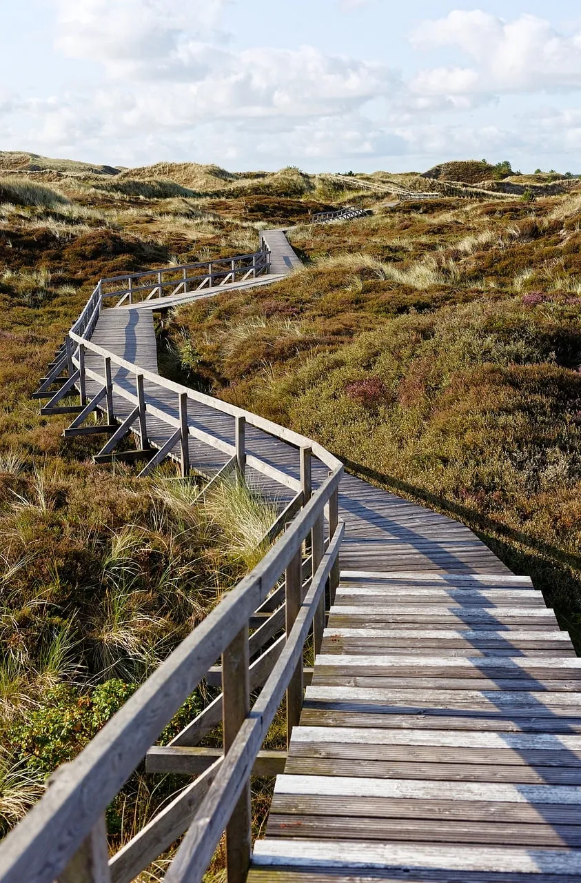 Serene Autumn Boardwalk Winding Through Coastal Dunes