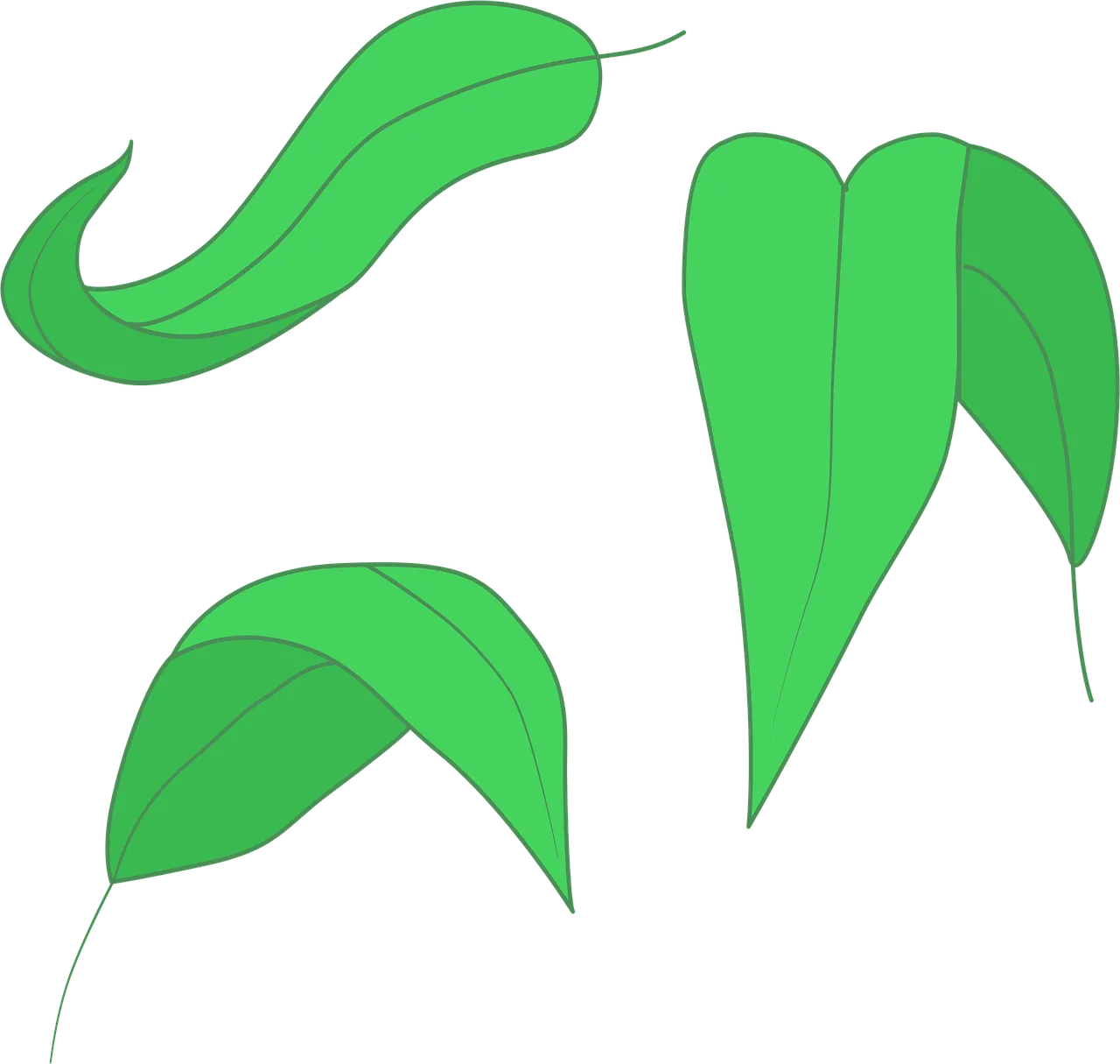 Vibrant Green Leaf Illustrations: Minimalist Nature Art