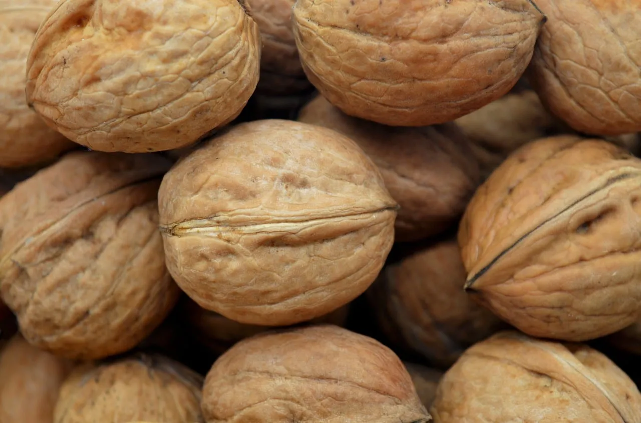 Rustic Autumn Walnuts: Nature's Healthy Snack in Close-up