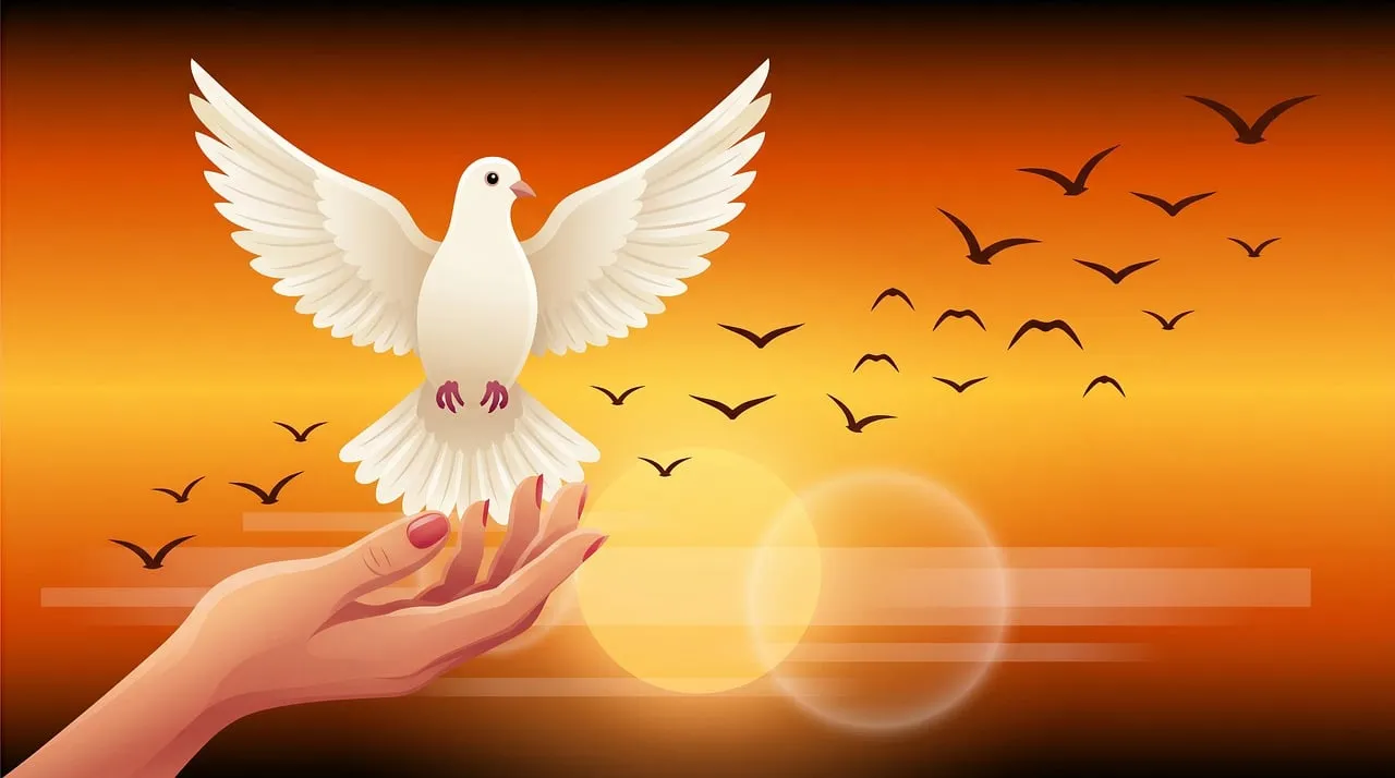 Soaring Peace: Dove Takes Flight from Hand at Sunset