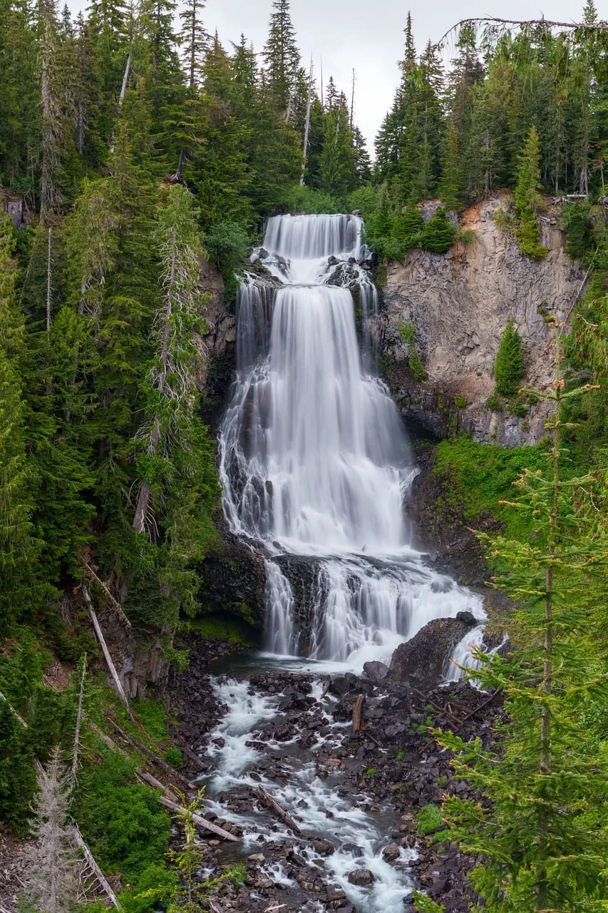Cascading Majesty: Forest Waterfall Adventure