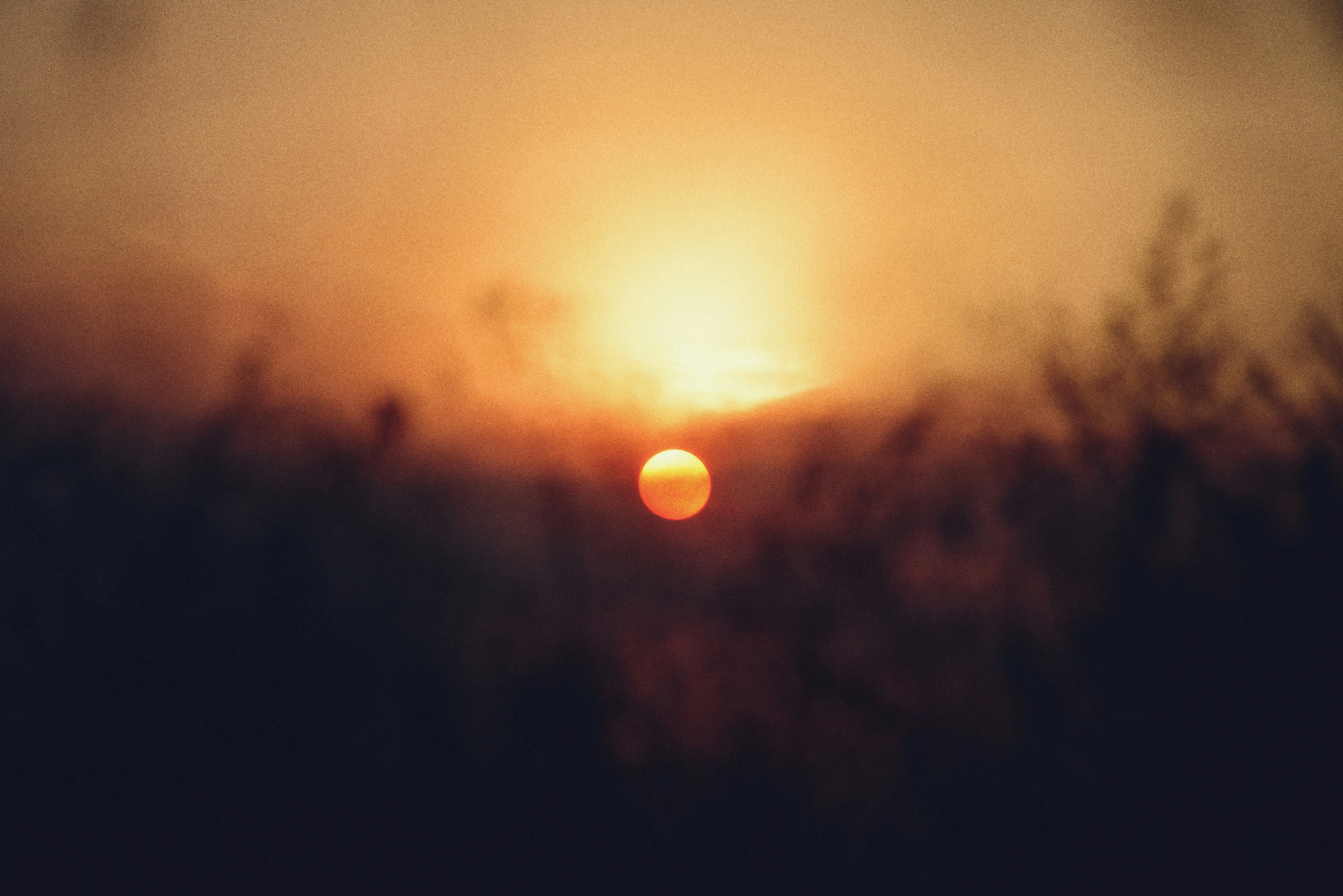 Fiery Sunset Through Hazy Foliage: A Captivating Golden Hour