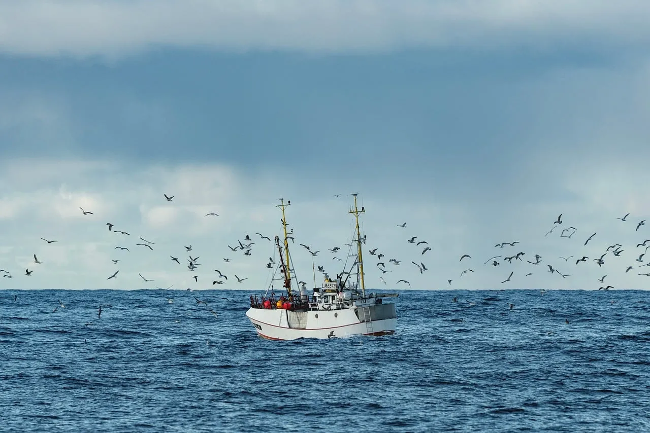 Majestic Fishing Boat Amidst a Soaring Flock on the Deep Blue Sea