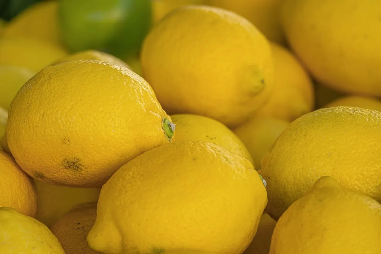 Vibrant Yellow Lemons: Fresh Citrus Zest