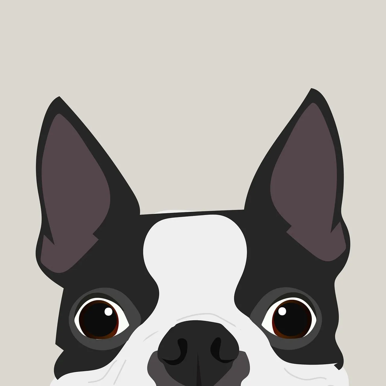 Adorable Boston Terrier Peeking: Cute Pet Illustration