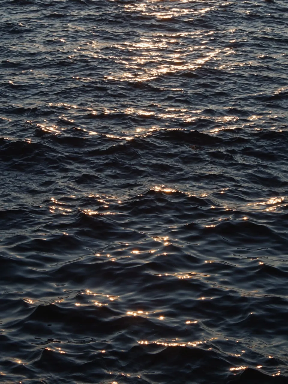 Mesmerizing Golden Glare: Sunset Shimmer on Dark Waves