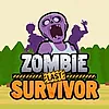 Zombie Last Survivor