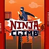 Ninja Climb