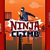 Ninja Climb