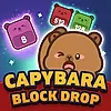 Capybara Block Drop