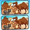 Spot 5 Differences Deserts
