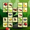 Connect The Insects