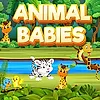 Animal Babies