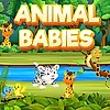 Animal Babies