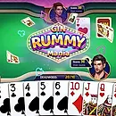 Gin Rummy Mania icon