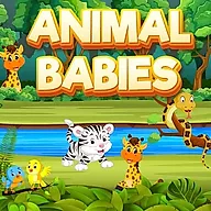 Animal Babies