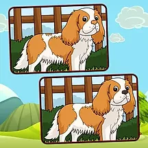 犬の間違い探し
