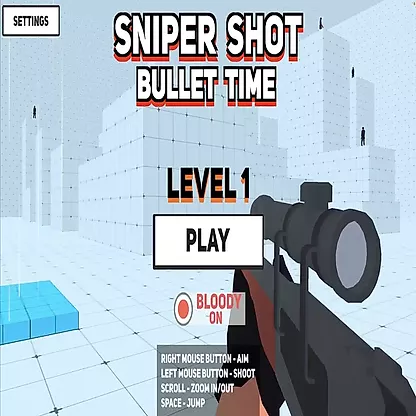 Sniper Shot Bullet Time