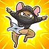 Ninja Mouse