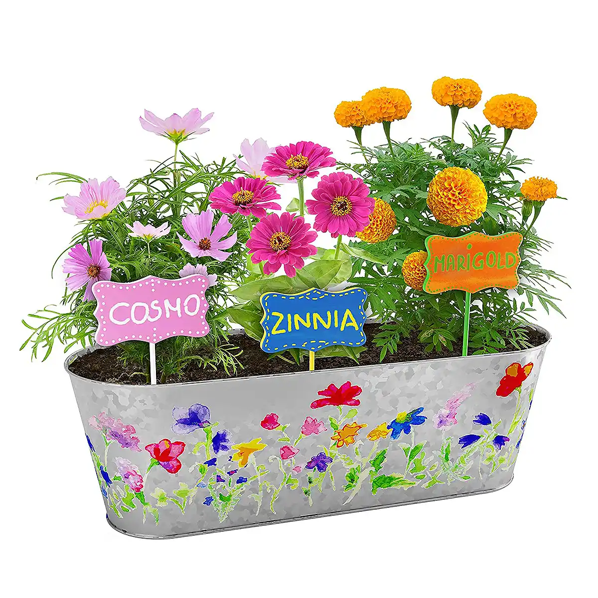 //img.enjoy4fun.com/news_icon/crg21ckhu2m1blp3sh90.png
