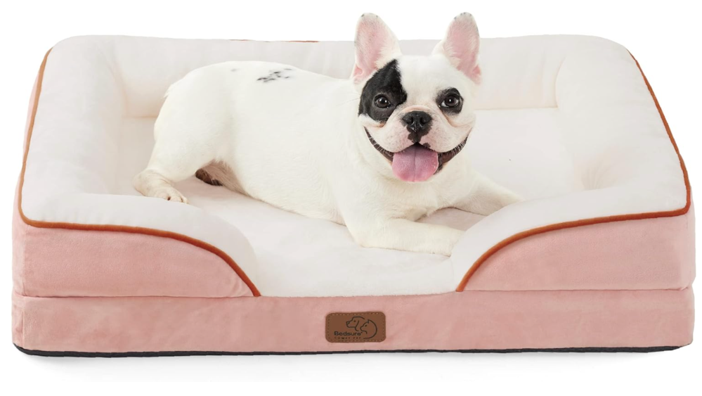 //img.enjoy4fun.com/news_icon/cs90mnsji4git2mk0300.png
