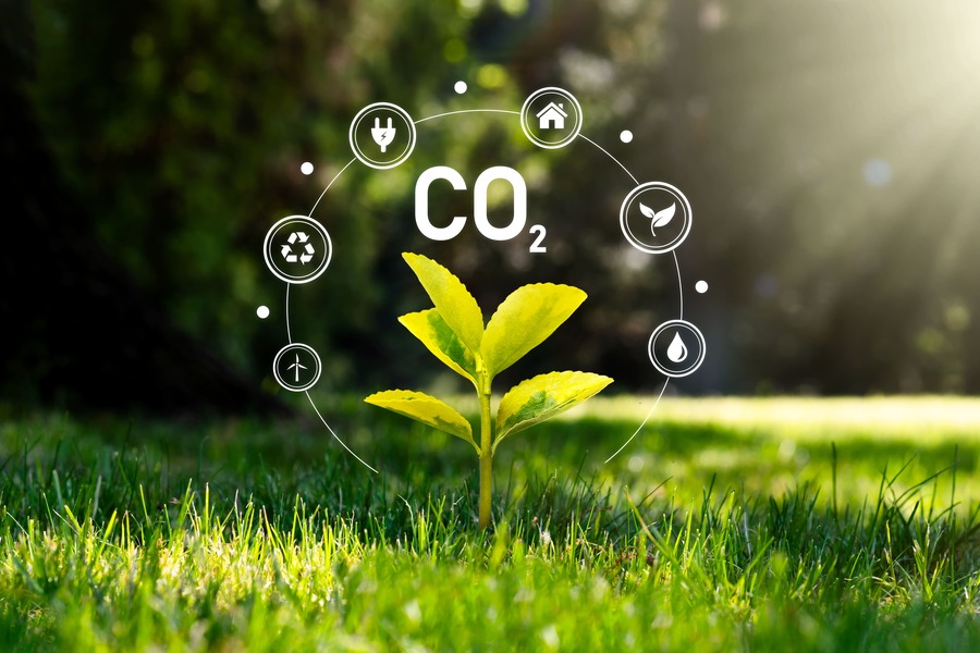 Deep Decarbonization Pathways Project: The Key to a Sustainable World