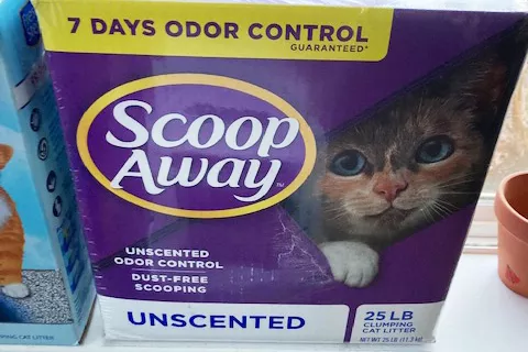 //img.enjoy4fun.com/news_icon/cshl6aje0ej7vqhr4ap0.jpg