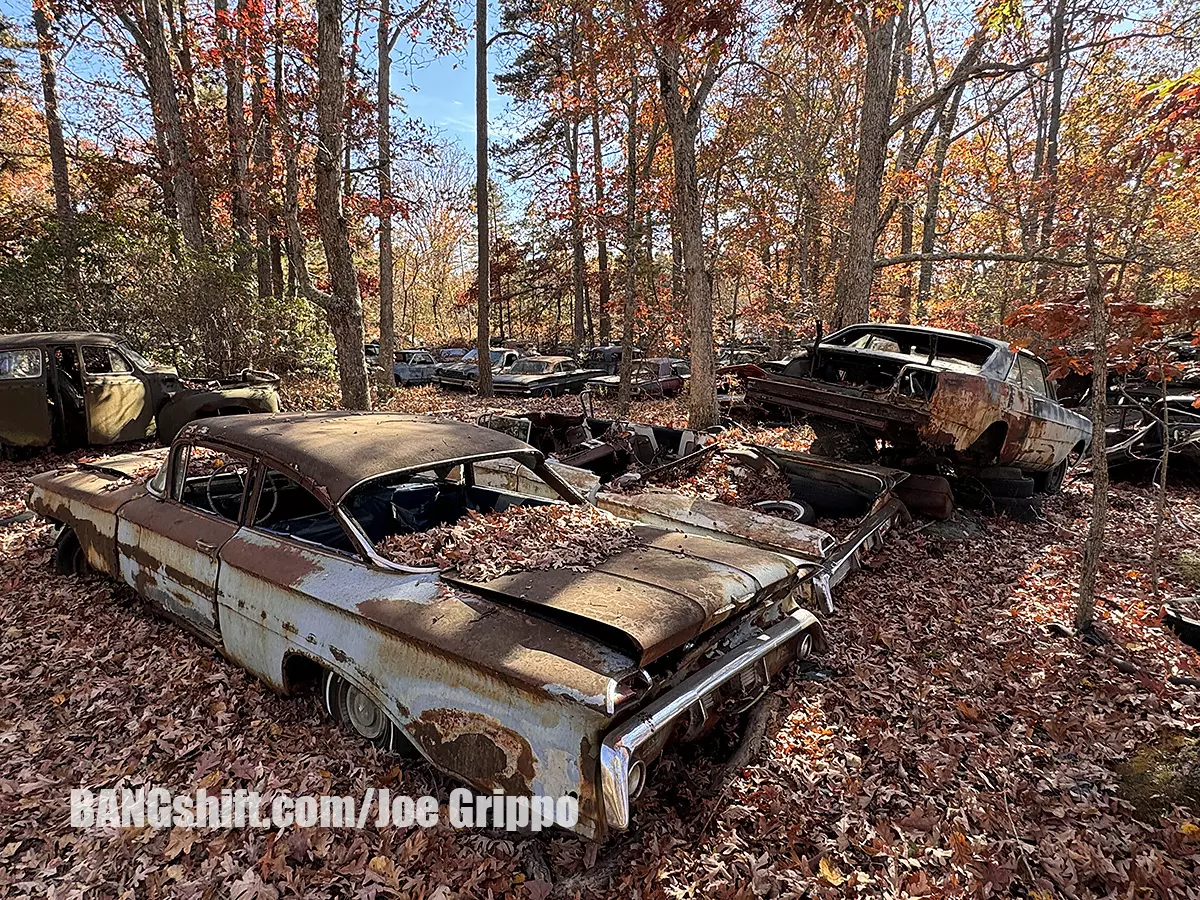 Exploring the Enchanted Rust: Fleming’s Pumpkin Run Unveils Vintage Treasures