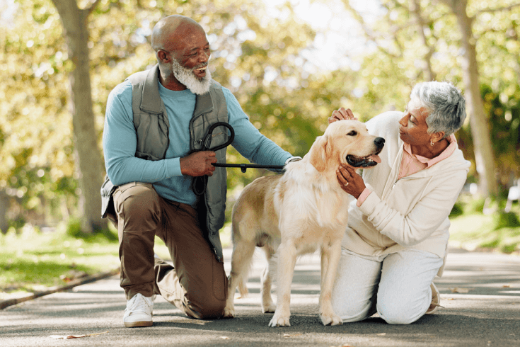 Low Cost Pet Insurance for Seniors