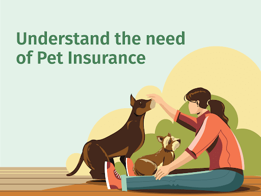 Pet Insurance: How to Protect Your Pet's Health Without Breaking the Bank