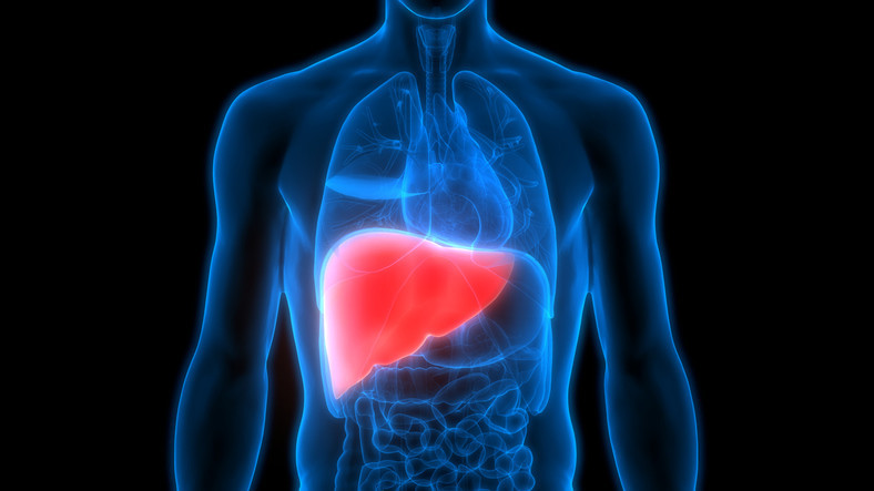 Comprehensive Approaches to Fatty Liver Disease Treatment in the United States