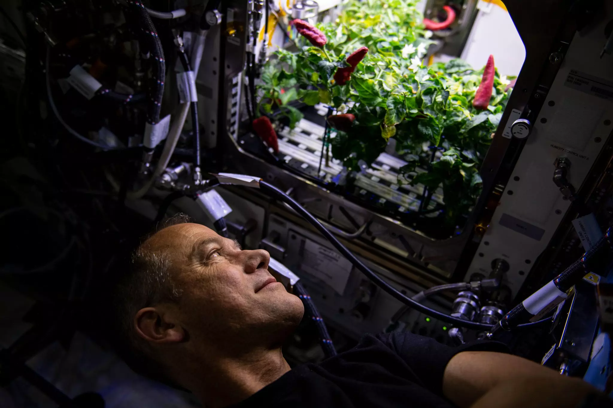 Revolutionizing Space Nutrition: The Deep Space Food Challenge