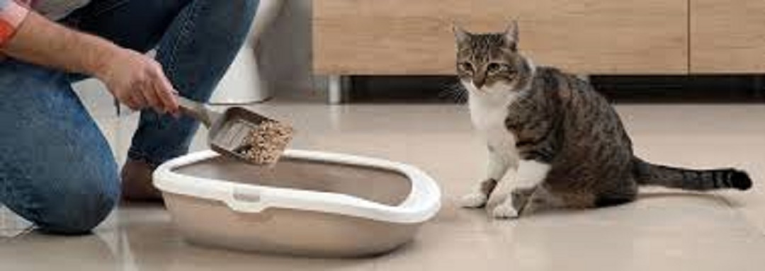 //img.enjoy4fun.com/news_icon/d0vcf2nisigs72snba7g.jpg