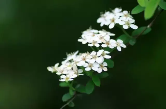 //img.enjoy4fun.com/news_icon/d172km25a93s72p0j35g.jpg