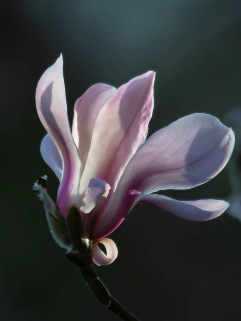 //img.enjoy4fun.com/news_icon/d17377a5a93s72p1s0jg.png