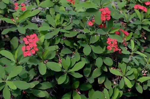 //img.enjoy4fun.com/news_icon/d1766rq5a93s72p8b3lg.jpg