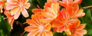 //img.enjoy4fun.com/news_icon/d176alpbj2as72pkmqpg.jpg