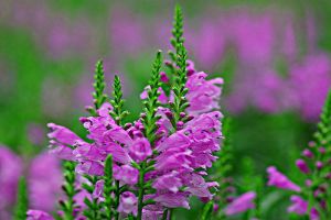 //img.enjoy4fun.com/news_icon/d176alq5a93s72p8insg.jpg