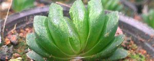 //img.enjoy4fun.com/news_icon/d176gb1bj2as72pl3osg.jpg