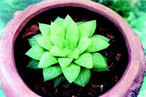 //img.enjoy4fun.com/news_icon/d176qh9bj2as72plohrg.jpg