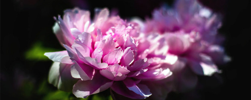 //img.enjoy4fun.com/news_icon/d1h3dc0srbuc72sh781g.jpg